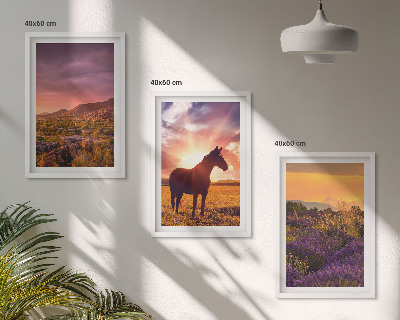 Cadre photo mural Paysage de montagne avec un cheval