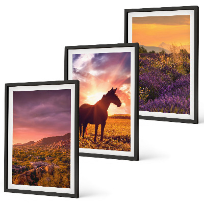 Cadre photo mural Paysage de montagne avec un cheval