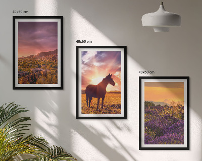 Cadre photo mural Paysage de montagne avec un cheval
