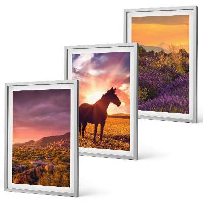 Cadre photo mural Paysage de montagne avec un cheval