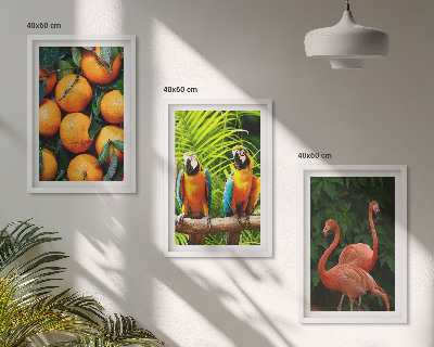 Cadre photo mural Des accents fruités sous les tropiques