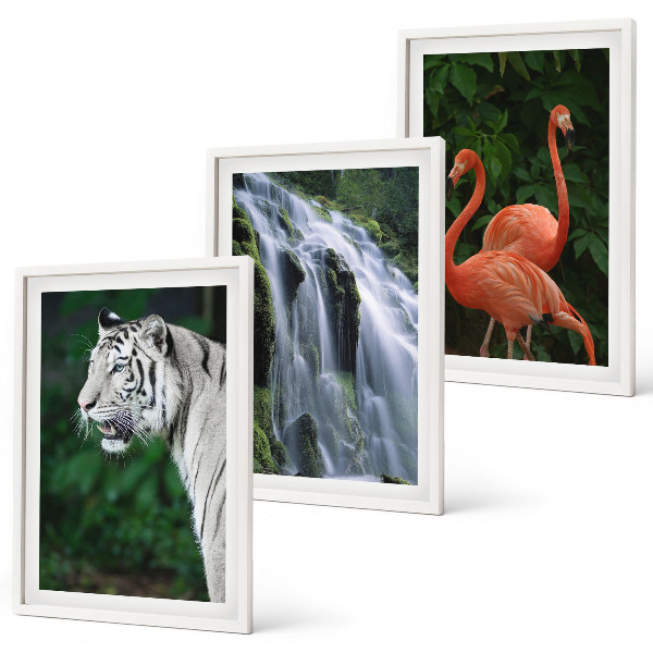 Lot de 3 tableaux pour salon Cascade du tigre flamants roses nature