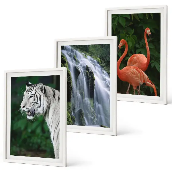 Lot de 3 tableaux pour salon motif cascade du tigre et flamants roses nature