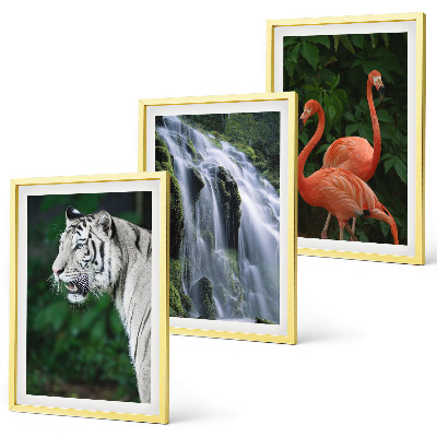 Lot de 3 tableaux pour salon Cascade du tigre flamants roses nature