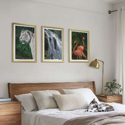 Lot de 3 tableaux pour salon Cascade du tigre flamants roses nature