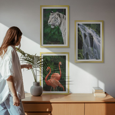 Lot de 3 tableaux pour salon Cascade du tigre flamants roses nature