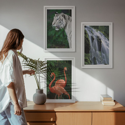 Lot de 3 tableaux pour salon Cascade du tigre flamants roses nature