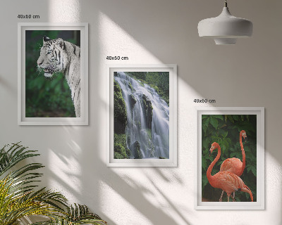Lot de 3 tableaux pour salon Cascade du tigre flamants roses nature
