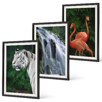 Lot de 3 tableaux pour salon Cascade du tigre flamants roses nature