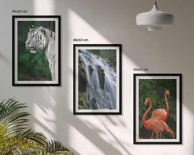 Lot de 3 tableaux pour salon Cascade du tigre flamants roses nature