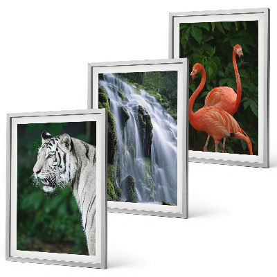 Lot de 3 tableaux pour salon Cascade du tigre flamants roses nature