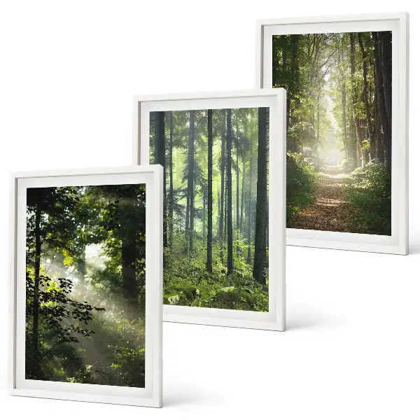 Lot de 3 tableaux pour salon représentant des forêts verdoyantes avec des rayons de lumière
