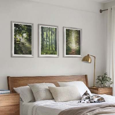 Lot de 3 tableaux pour salon Forêts verdoyantes avec des rayons de lumière