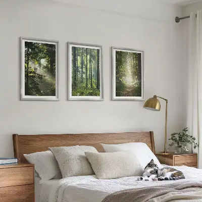 Lot de 3 tableaux pour salon représentant des forêts verdoyantes avec des rayons de lumière