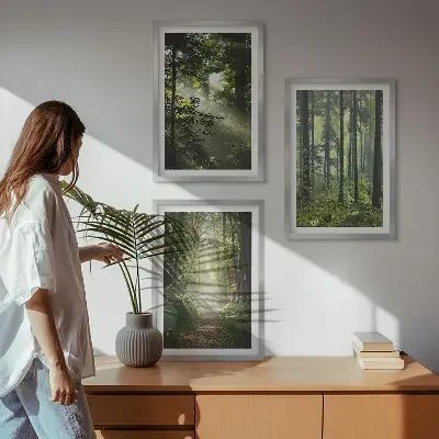 Lot de 3 tableaux pour salon représentant des forêts verdoyantes avec des rayons de lumière