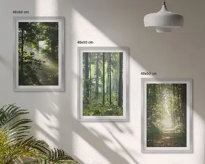 Lot de 3 tableaux pour salon représentant des forêts verdoyantes avec des rayons de lumière