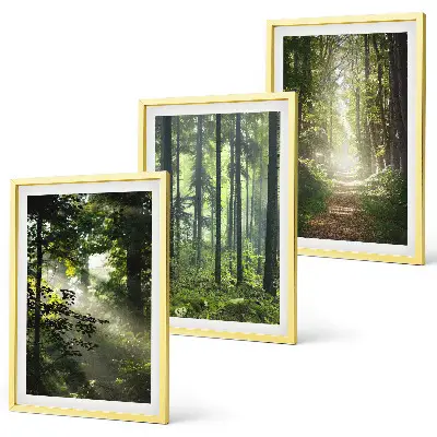 Lot de 3 tableaux pour salon représentant des forêts verdoyantes avec des rayons de lumière