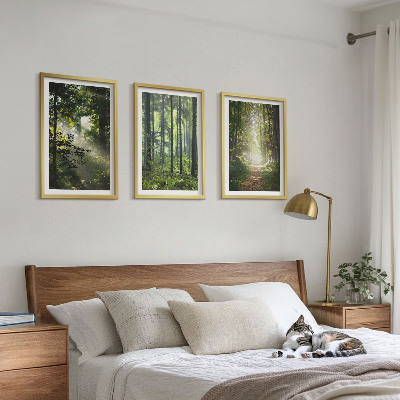 Lot de 3 tableaux pour salon Forêts verdoyantes avec des rayons de lumière