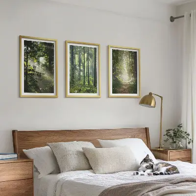 Lot de 3 tableaux pour salon représentant des forêts verdoyantes avec des rayons de lumière