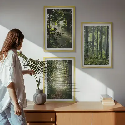 Lot de 3 tableaux pour salon représentant des forêts verdoyantes avec des rayons de lumière