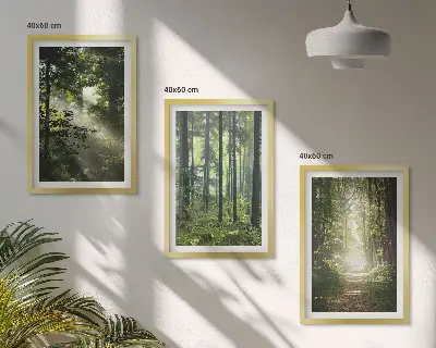 Lot de 3 tableaux pour salon représentant des forêts verdoyantes avec des rayons de lumière