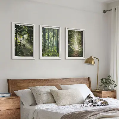 Lot de 3 tableaux pour salon représentant des forêts verdoyantes avec des rayons de lumière