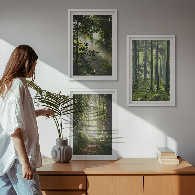 Lot de 3 tableaux pour salon Forêts verdoyantes avec des rayons de lumière