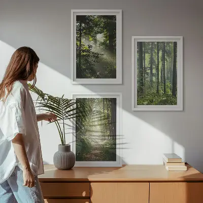 Lot de 3 tableaux pour salon représentant des forêts verdoyantes avec des rayons de lumière