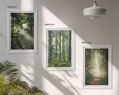 Lot de 3 tableaux pour salon représentant des forêts verdoyantes avec des rayons de lumière