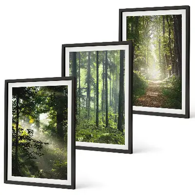Lot de 3 tableaux pour salon représentant des forêts verdoyantes avec des rayons de lumière