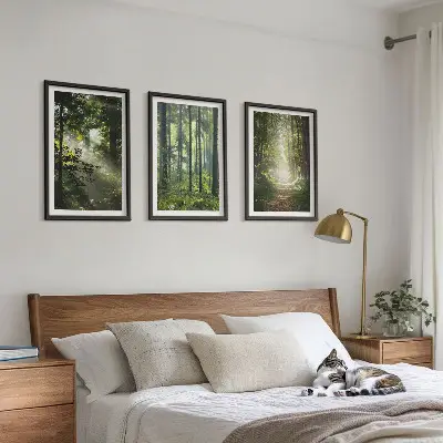 Lot de 3 tableaux pour salon représentant des forêts verdoyantes avec des rayons de lumière