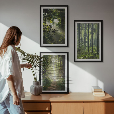Lot de 3 tableaux pour salon Forêts verdoyantes avec des rayons de lumière