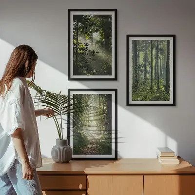 Lot de 3 tableaux pour salon représentant des forêts verdoyantes avec des rayons de lumière