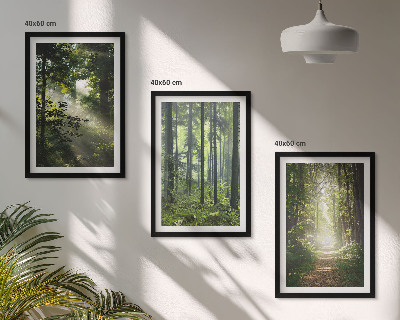Lot de 3 tableaux pour salon Forêts verdoyantes avec des rayons de lumière