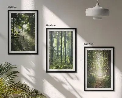 Lot de 3 tableaux pour salon représentant des forêts verdoyantes avec des rayons de lumière