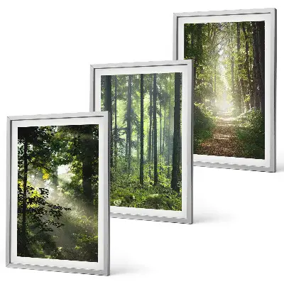 Lot de 3 tableaux pour salon représentant des forêts verdoyantes avec des rayons de lumière