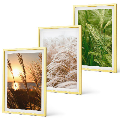 Cadre photo mural Les herbes colorées de la nature
