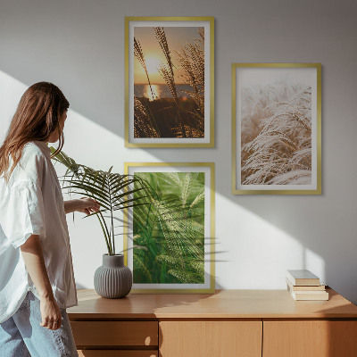 Cadre photo mural Les herbes colorées de la nature