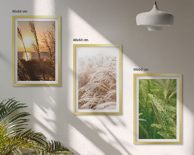 Cadre photo mural Les herbes colorées de la nature
