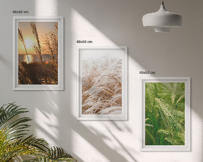 Cadre photo mural Les herbes colorées de la nature