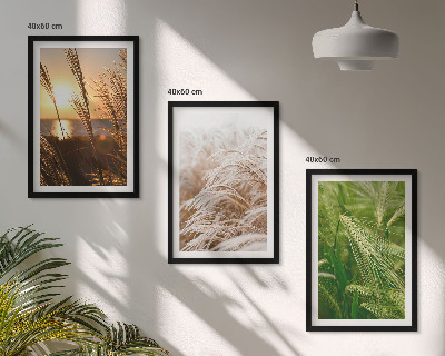 Cadre photo mural Les herbes colorées de la nature
