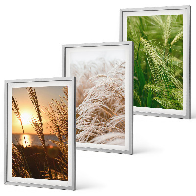Cadre photo mural Les herbes colorées de la nature