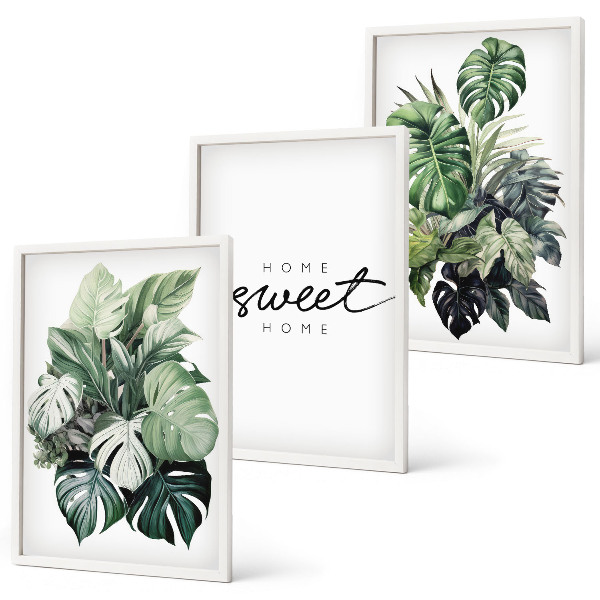 Lot de 3 tableaux pour salon Plantes portant l'inscription « Douce maison »
