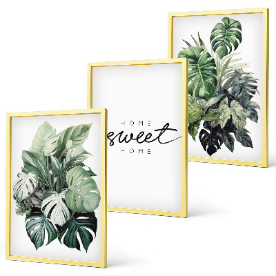 Lot de 3 tableaux pour salon Plantes portant l'inscription « Douce maison »