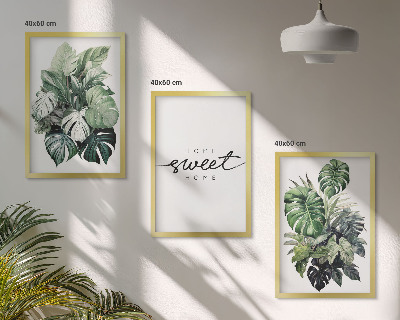 Lot de 3 tableaux pour salon Plantes portant l'inscription « Douce maison »