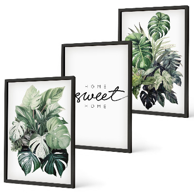 Lot de 3 tableaux pour salon Plantes portant l'inscription « Douce maison »