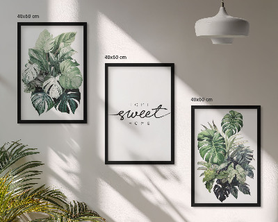 Lot de 3 tableaux pour salon Plantes portant l'inscription « Douce maison »