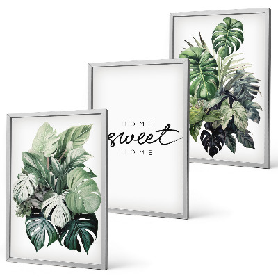 Lot de 3 tableaux pour salon Plantes portant l'inscription « Douce maison »