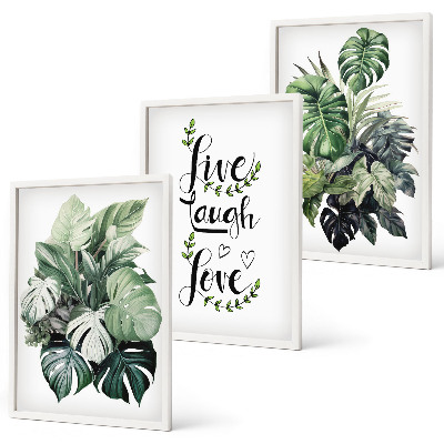 Cadre photo mural Les plantes à feuilles vivent, rient, aiment