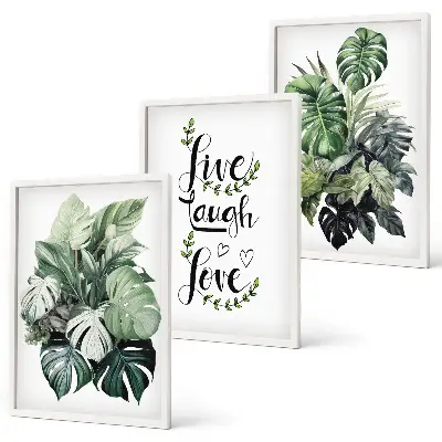 Cadre photo mural motif les plantes à feuilles vivent, rient, aiment